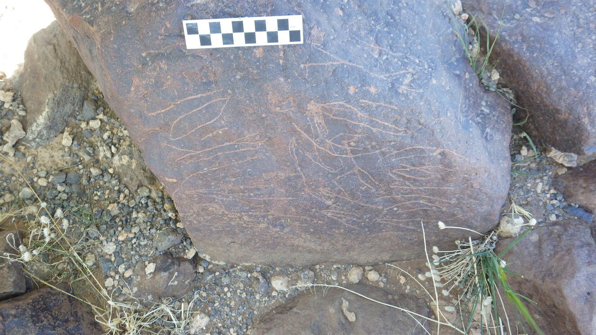 Image of siglum BES20 1248