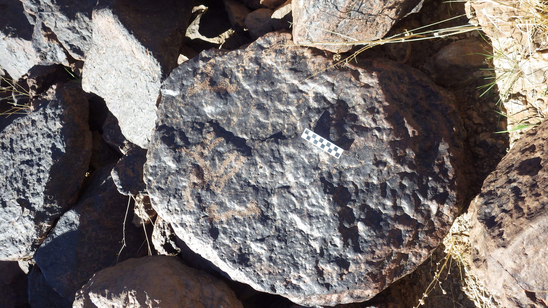 Image of siglum BES20 1248