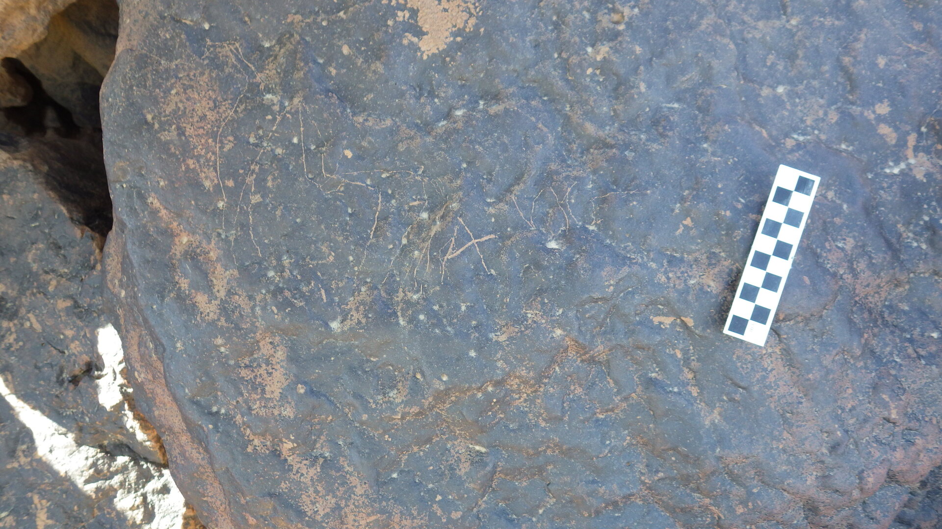 Image of siglum BES20 1248