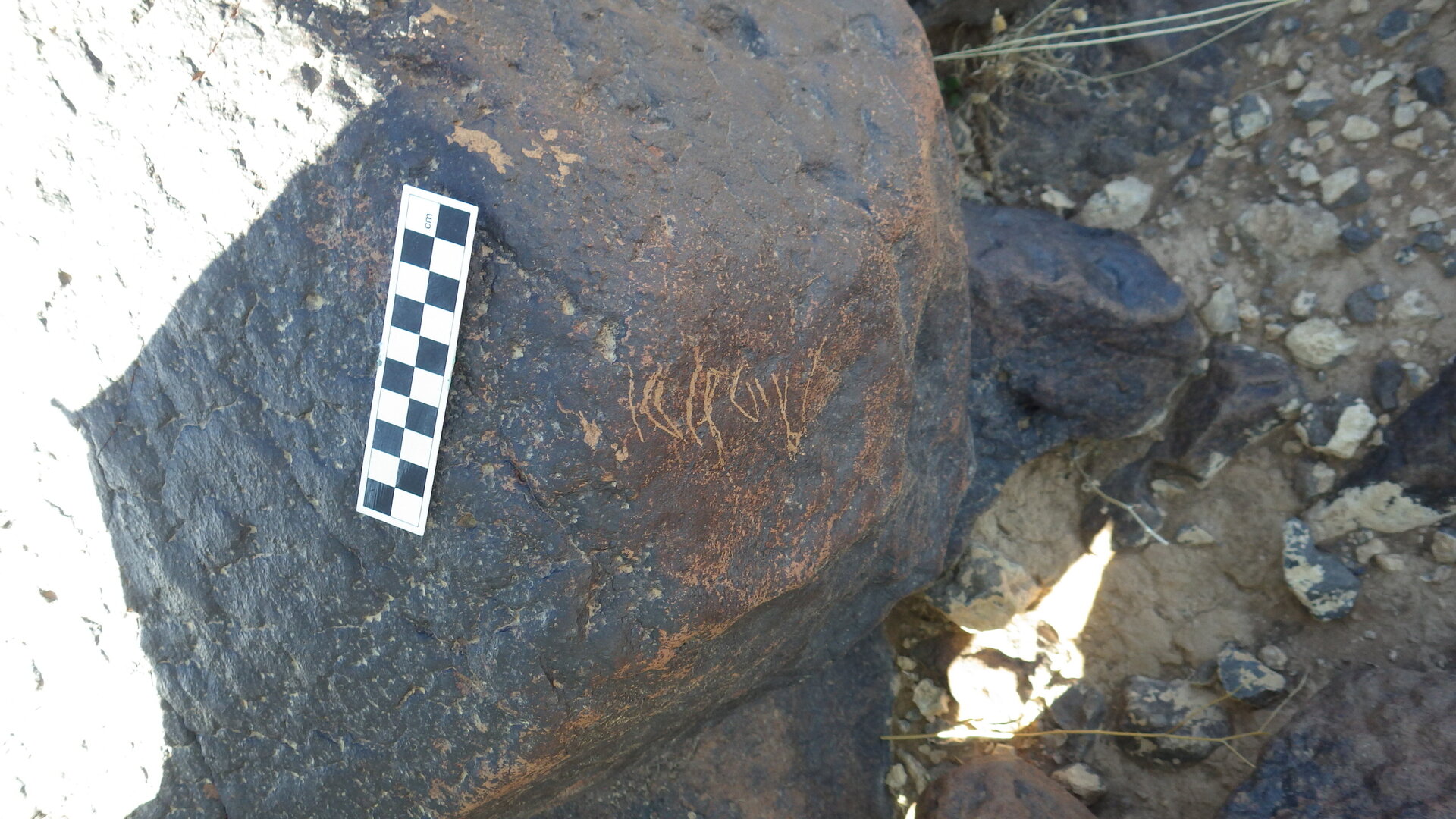 Image of siglum BES20 1248