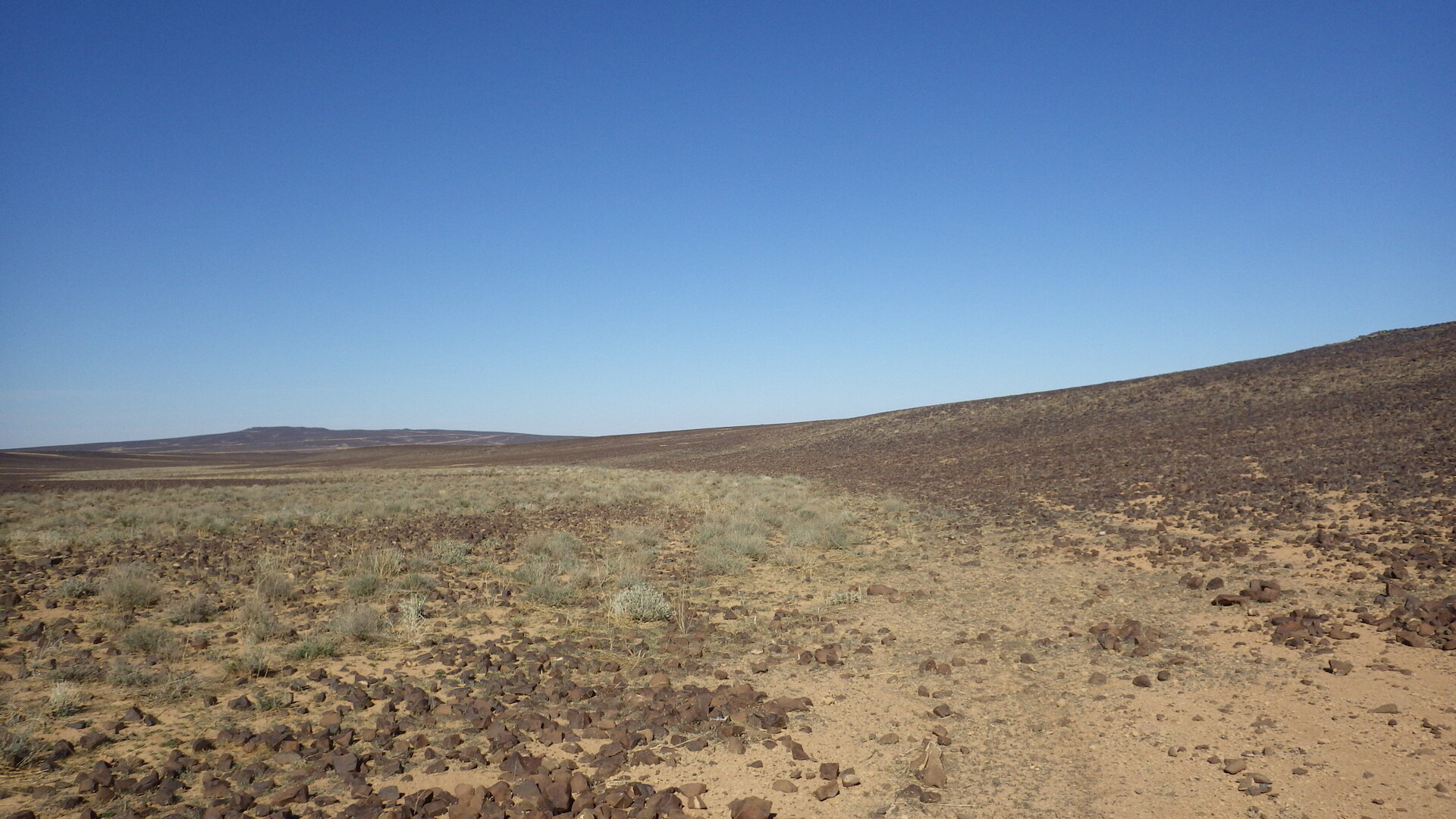 Image of siglum BES20 1248