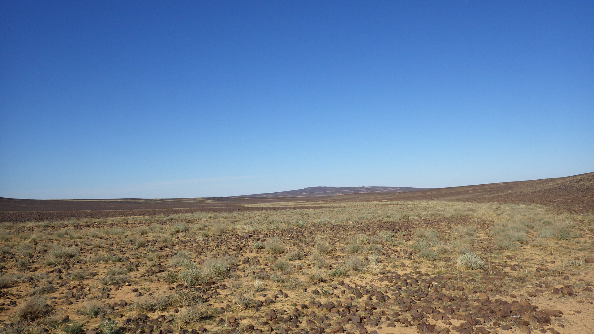 Image of siglum BES20 1248