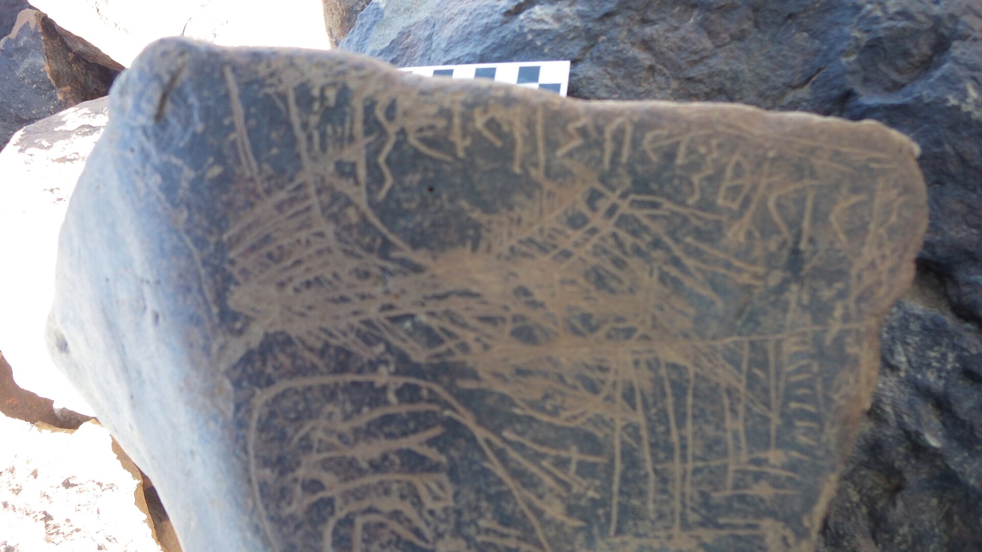 Image of siglum BES20 1248