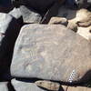 Image of siglum BES20 1248