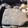 Image of siglum BES20 1248