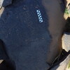 Image of siglum BES20 1248