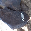 Image of siglum BES20 1248