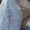 Image of siglum BES20 1248