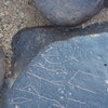 Image of siglum BES20 1248