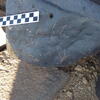 Image of siglum BES20 1248