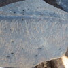 Image of siglum BES20 1248