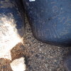Image of siglum BES20 1248