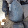 Image of siglum BES20 1248