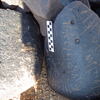 Image of siglum BES20 1248