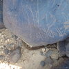Image of siglum BES20 1248