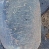 Image of siglum BES20 1248