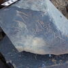 Image of siglum BES20 1248