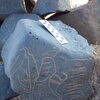 Image of siglum BES20 1248
