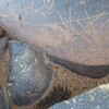 Image of siglum BES20 1248