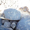 Image of siglum BES20 1248