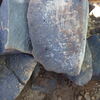 Image of siglum BES20 1248
