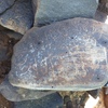 Image of siglum BES20 1248