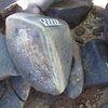 Image of siglum BES20 1248