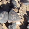 Image of siglum BES20 1248