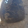 Image of siglum BES20 1248