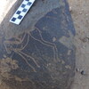 Image of siglum BES20 1248