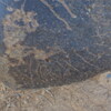 Image of siglum BES20 1248