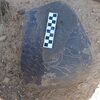 Image of siglum BES20 1248
