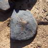 Image of siglum BES20 1248