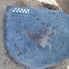 Image of siglum BES20 1248