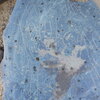 Image of siglum BES20 1248