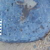 Image of siglum BES20 1248