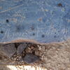 Image of siglum BES20 1248