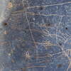 Image of siglum BES20 1248