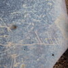 Image of siglum BES20 1248