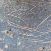 Image of siglum BES20 1248