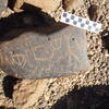 Image of siglum BES20 1248