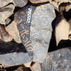Image of siglum BES20 1248