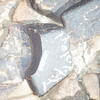 Image of siglum BES20 1248