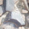 Image of siglum BES20 1248