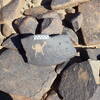 Image of siglum BES20 1248