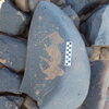 Image of siglum BES20 1248