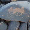 Image of siglum BES20 1248