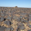 Image of siglum BES20 1248