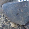 Image of siglum BES20 1248