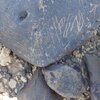 Image of siglum BES20 1248